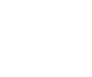 לוגו KB PURE